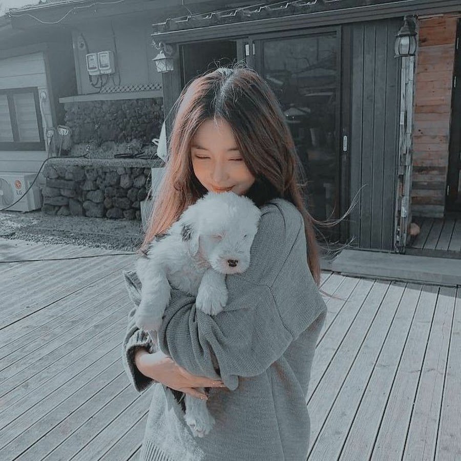 Милые мишки для девочек