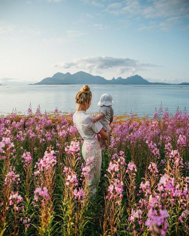 Картинки на вайбер красивые