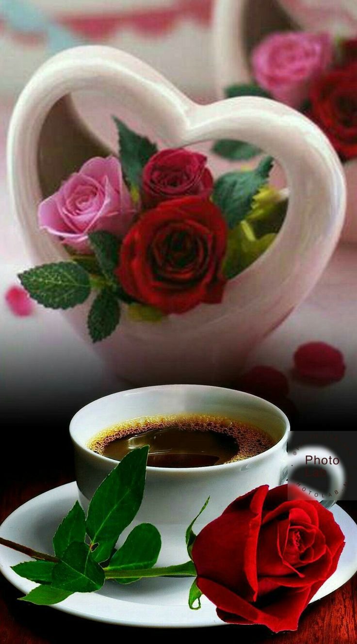 Модные пожелания с добрым утром