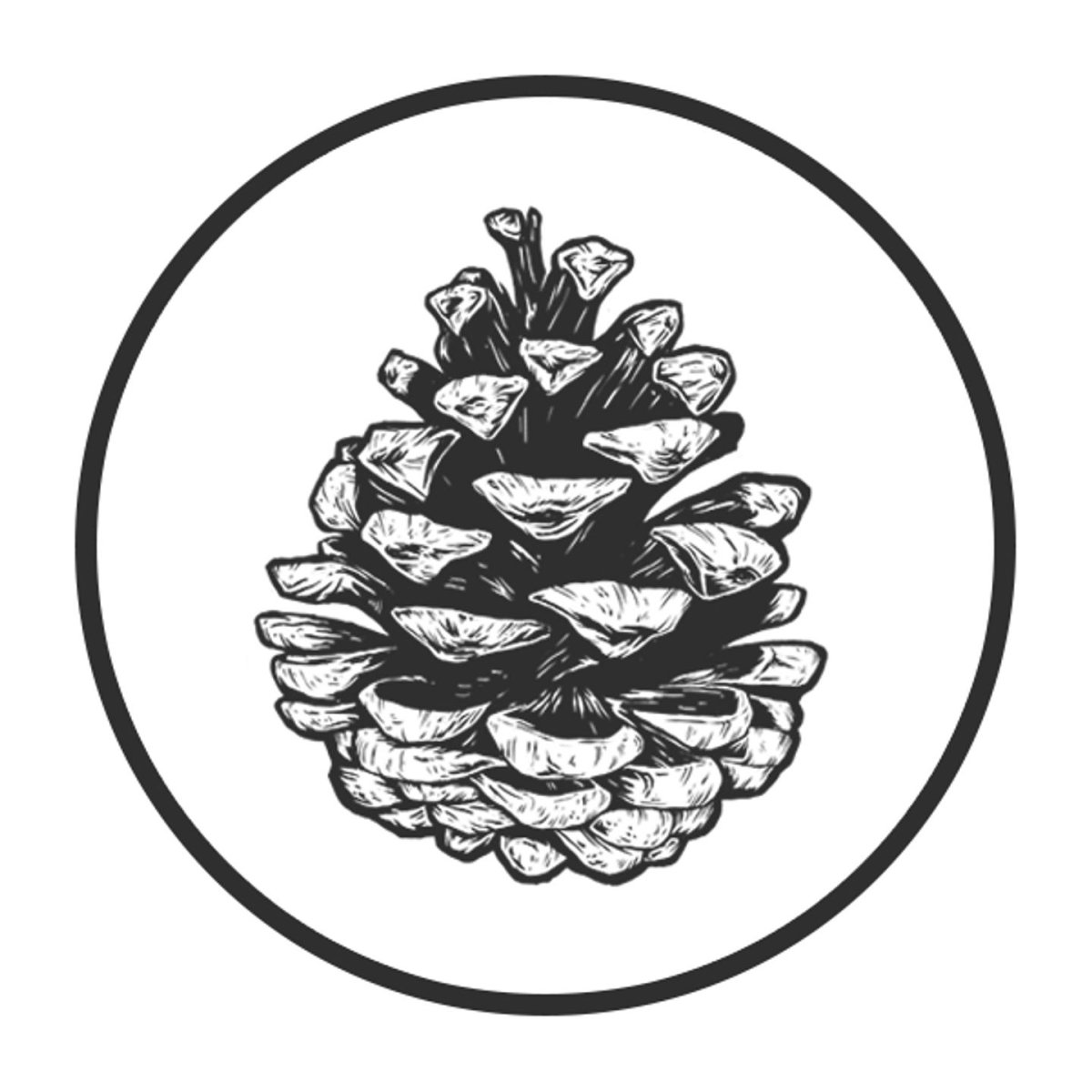 Елочные шишки