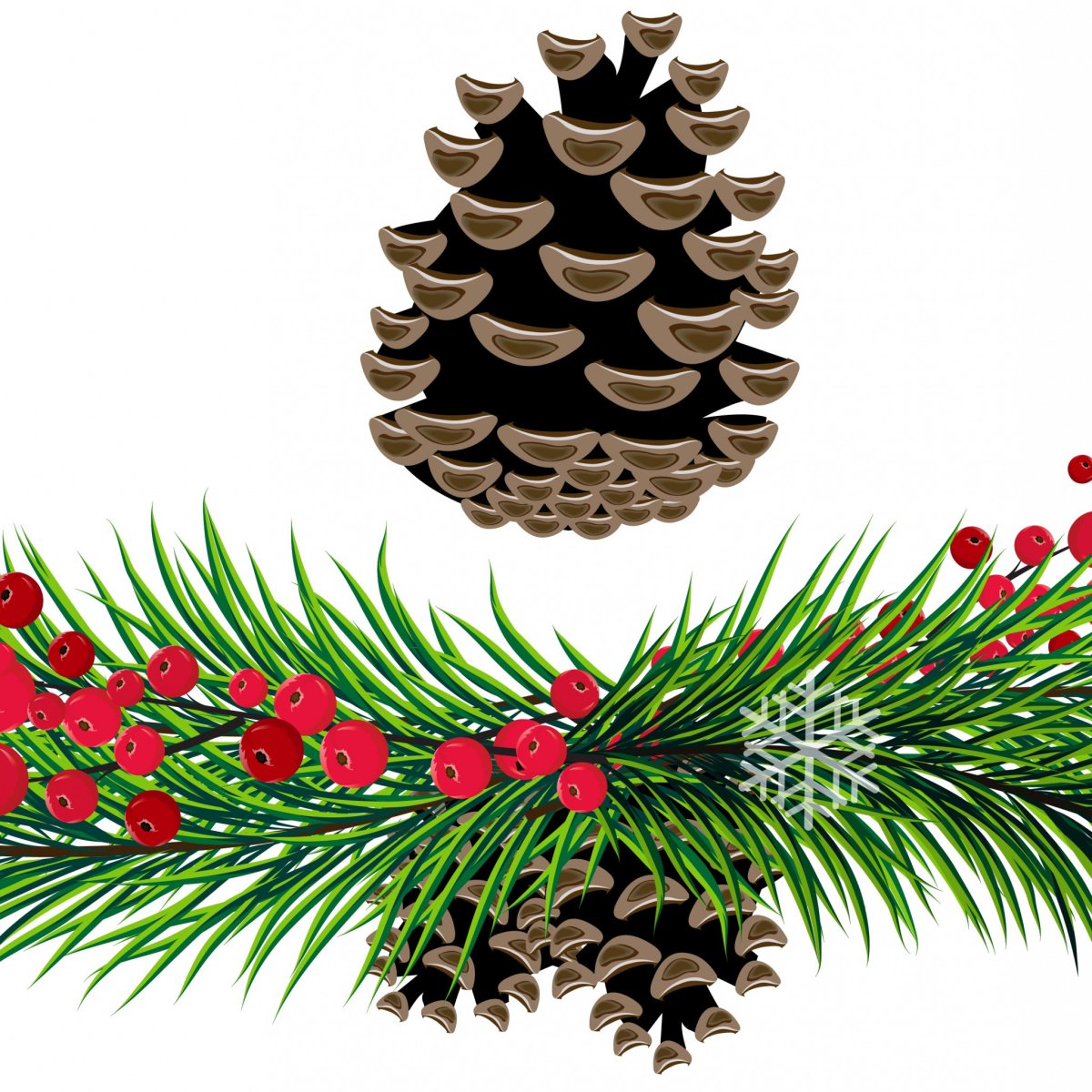 Шишка вектор