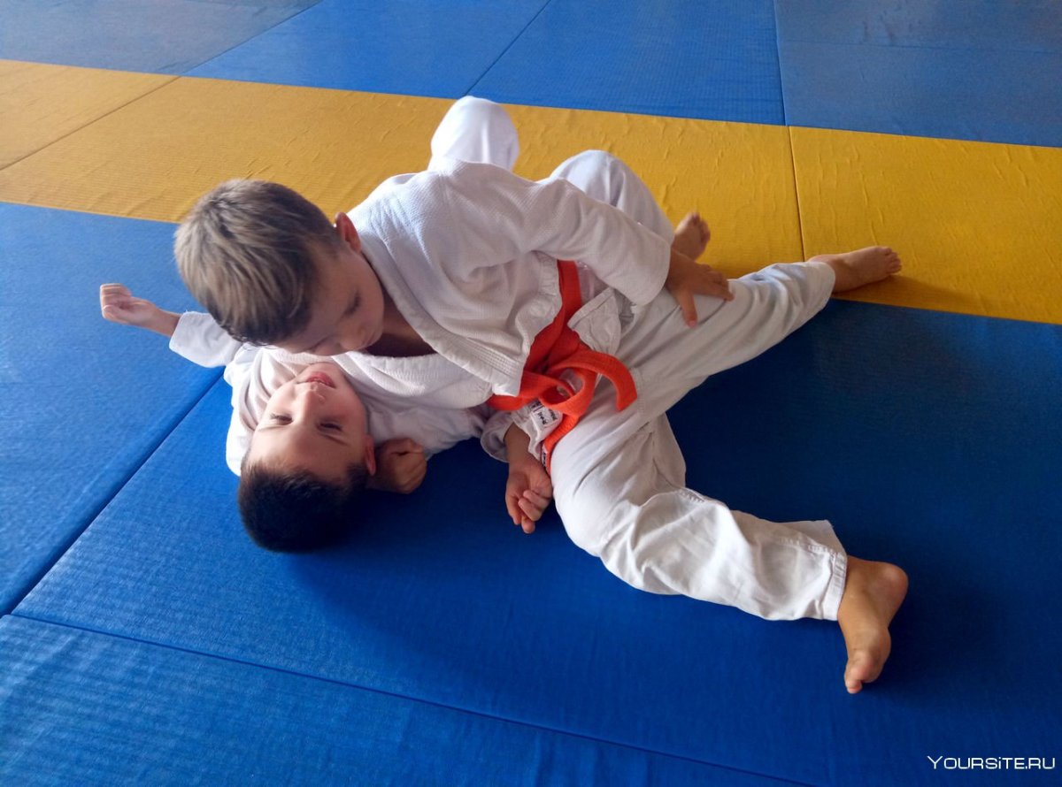 Дзюдо партер дети