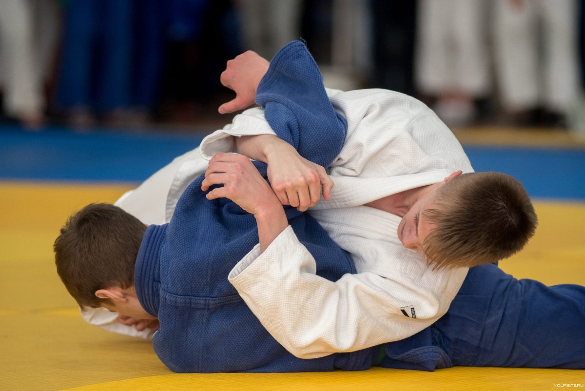 Дзюдо Иноземцево Давид