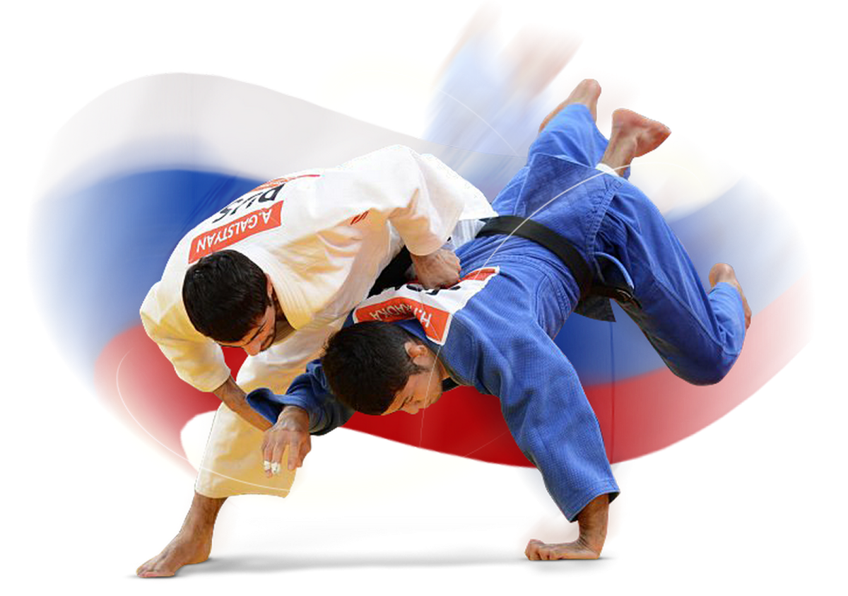 Дзюдо баннер