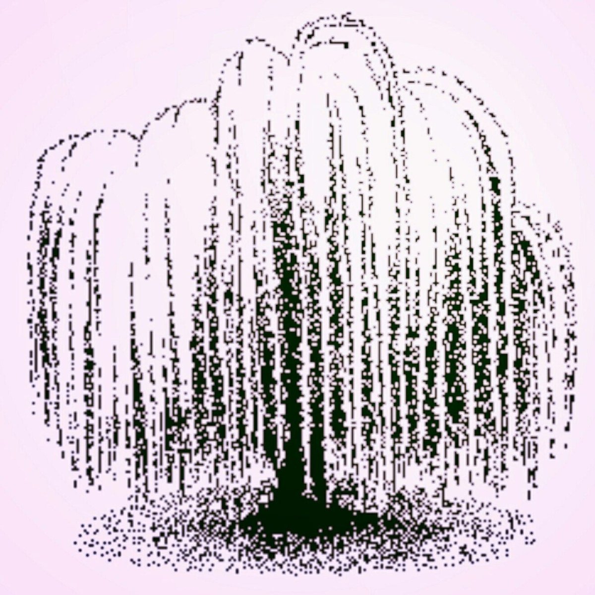 Высказывания об иве