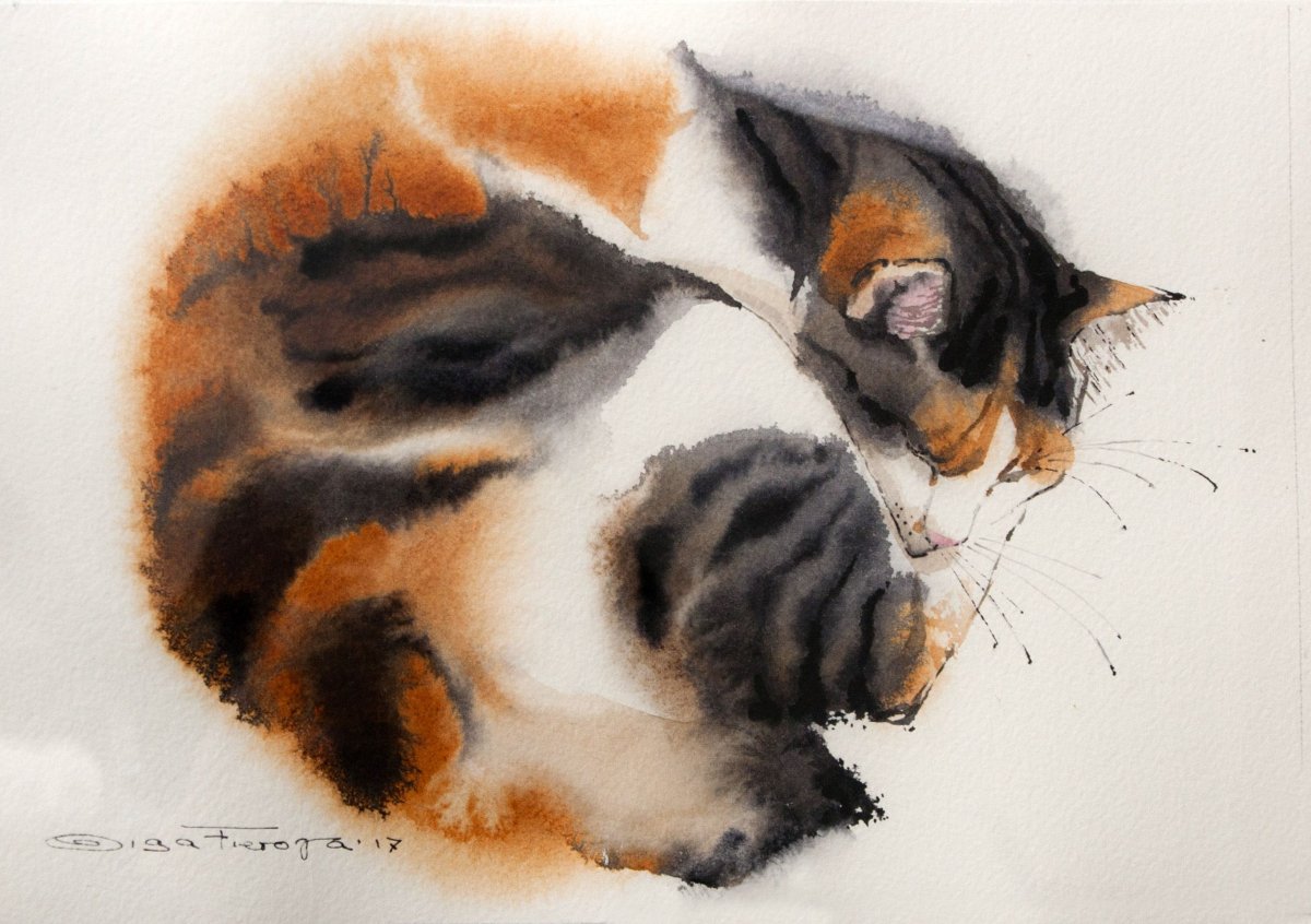 Акварельные трехцветные кошки