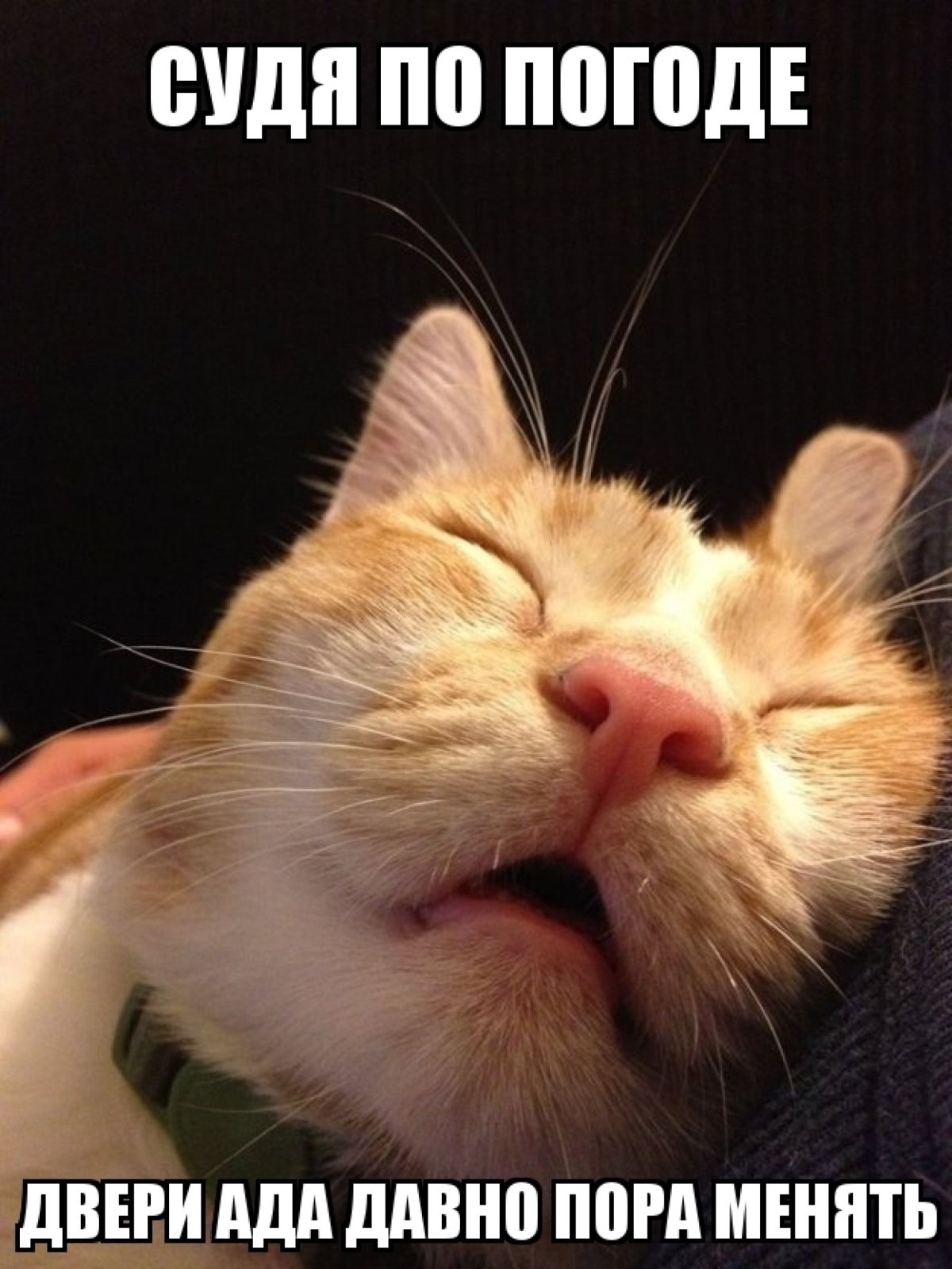 Стикеры спокойной ночи