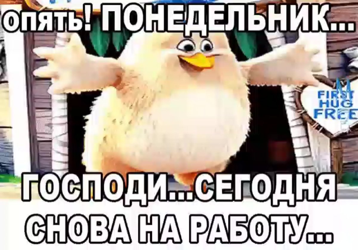 Ура завтра понедельник