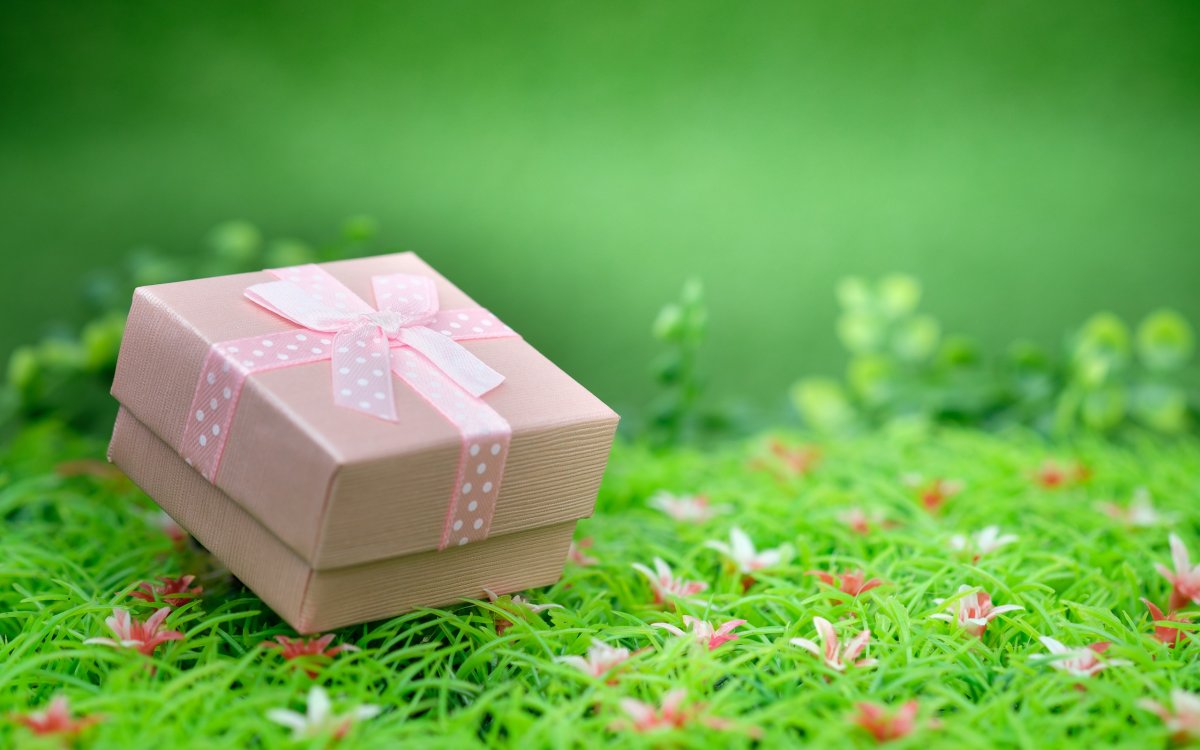 Розыгрыш картинка