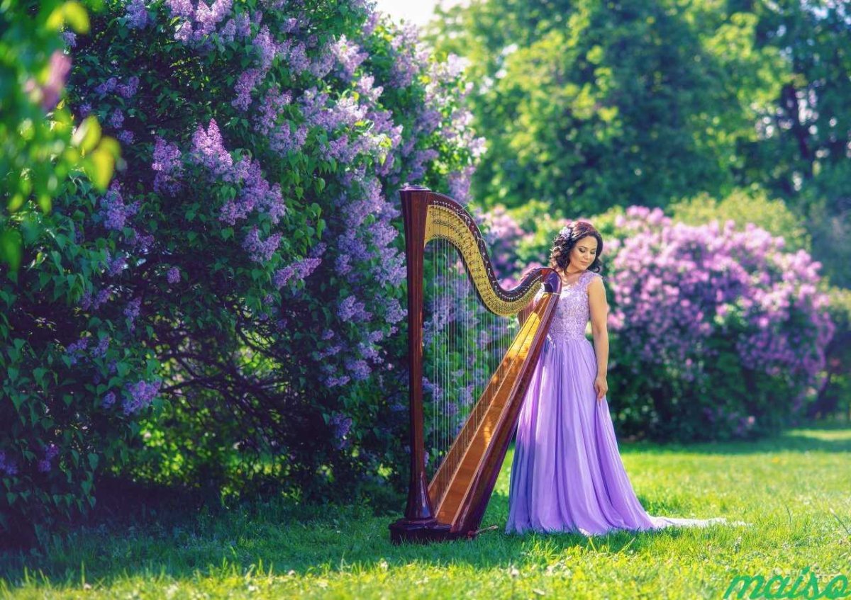 Огненная арфа