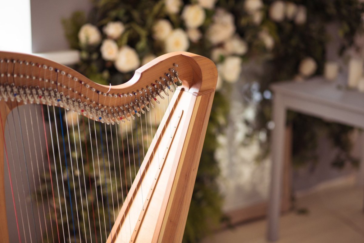 Андская арфа