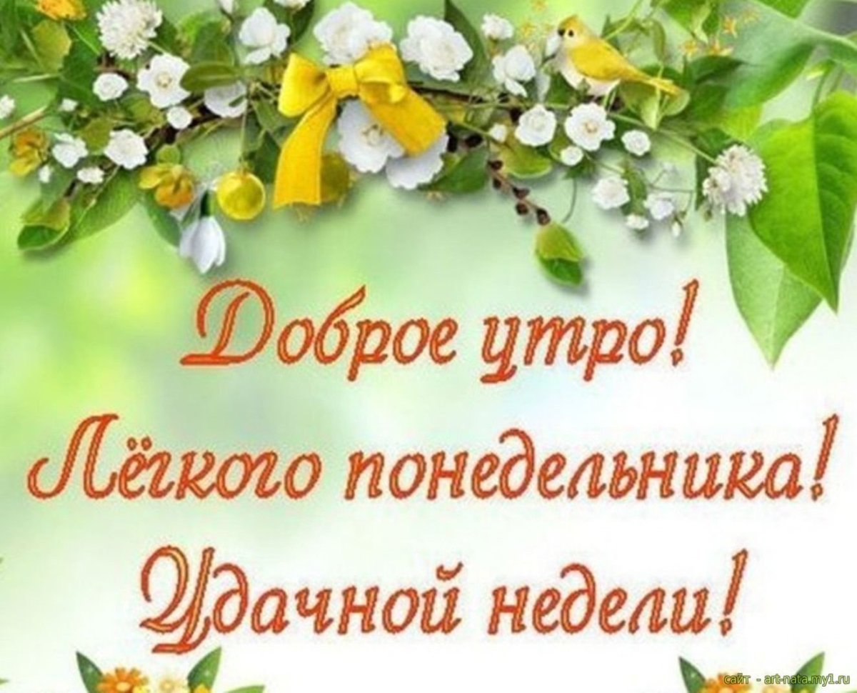 Удачного начала недели