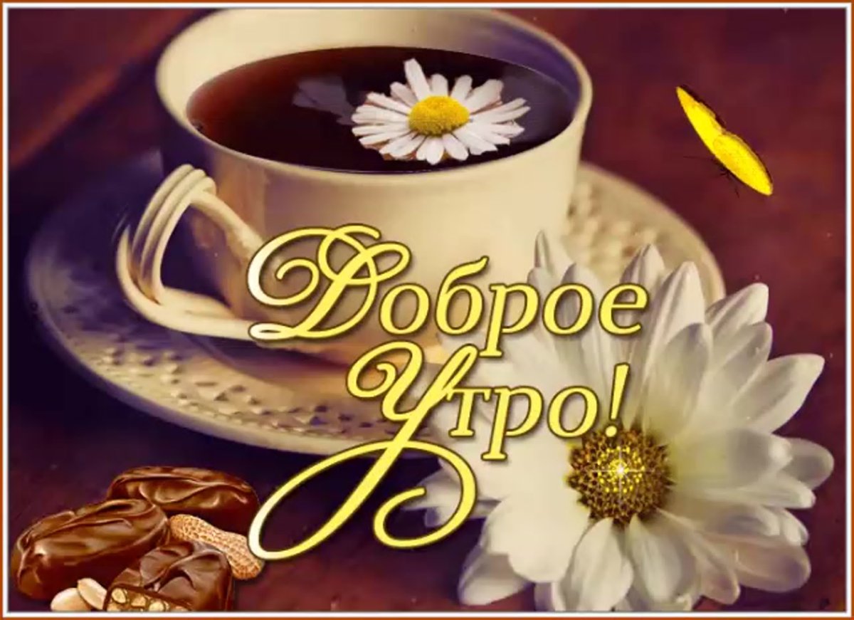 Доброе утро