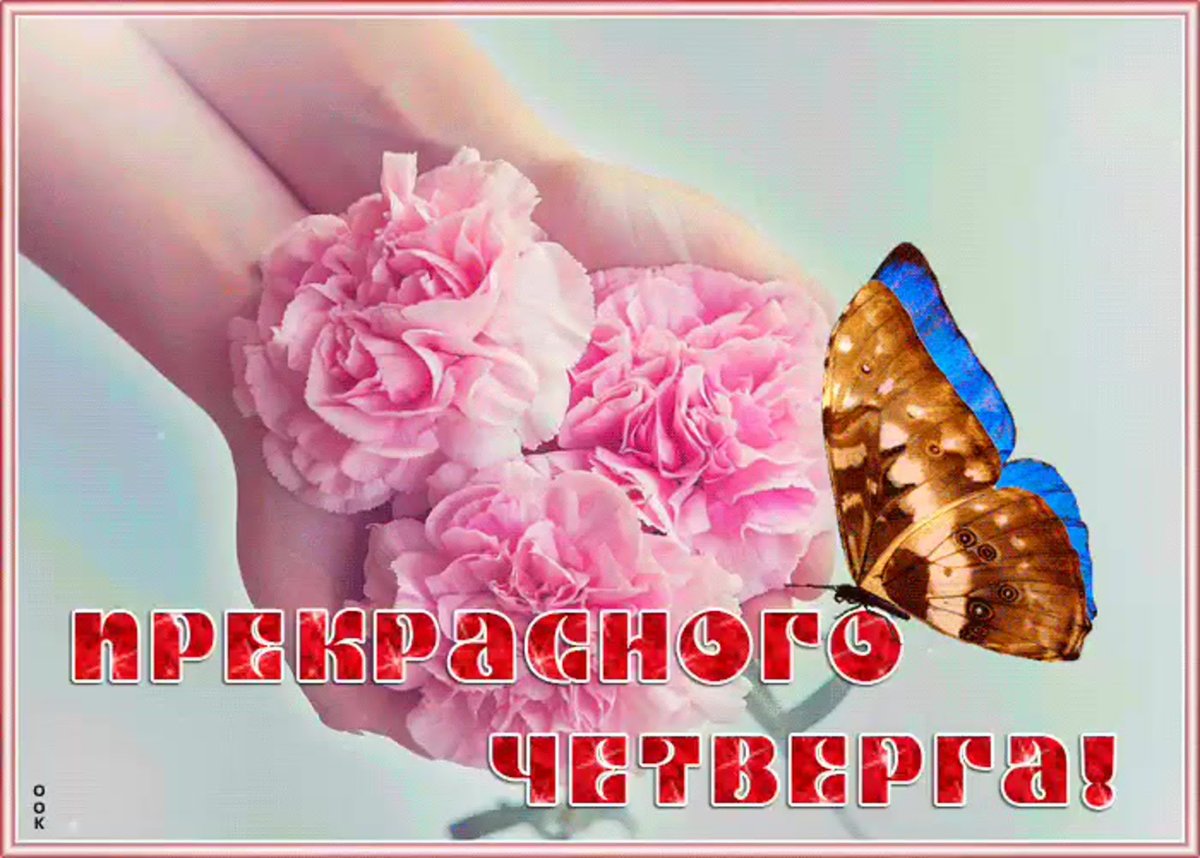 Четверг приколы