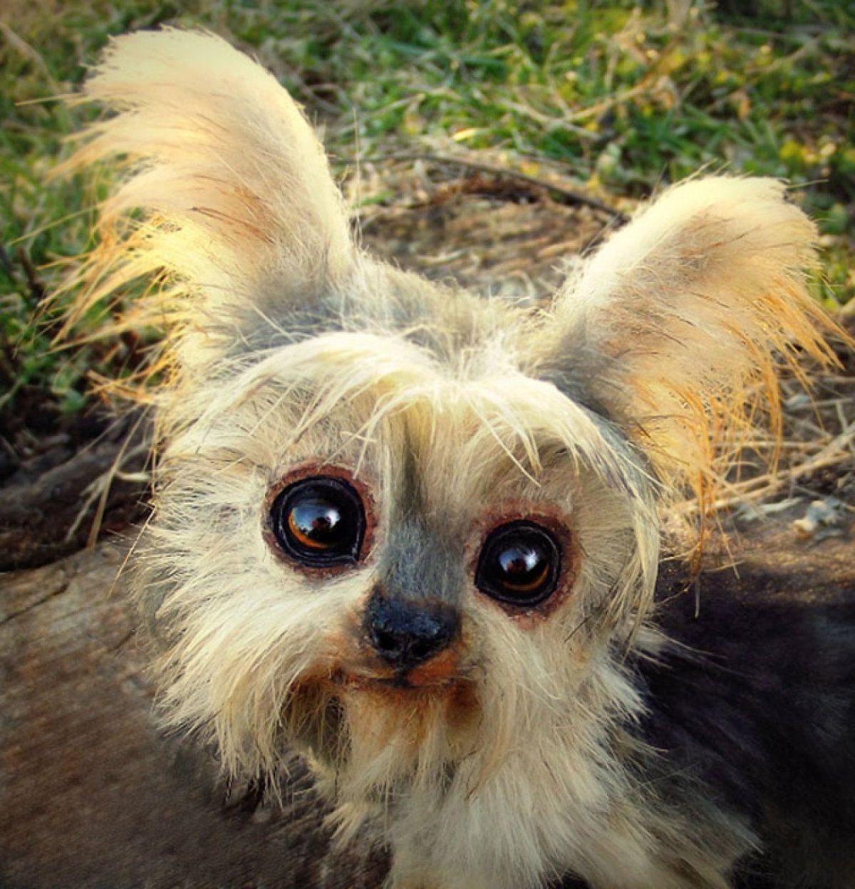 Ли кросс (Lee Cross)