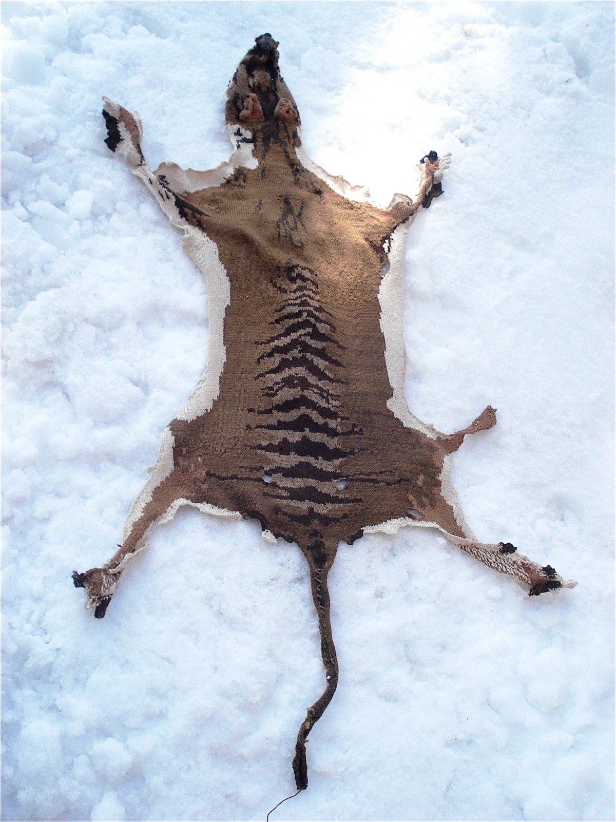 Неведомый зверь