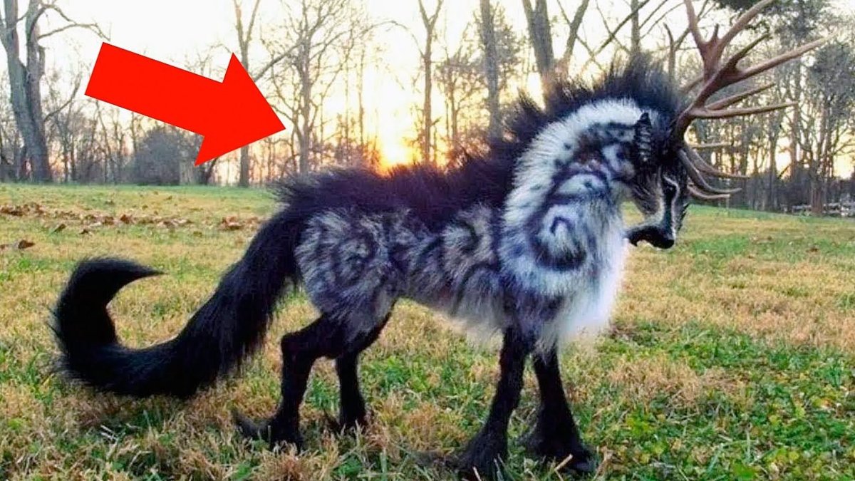 Чудовища Берингова моря (2013)