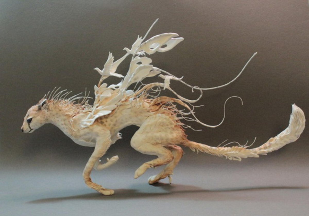 Крапчатый Звездочет