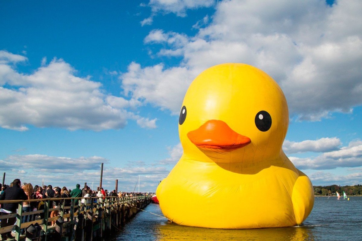 Огромная утка