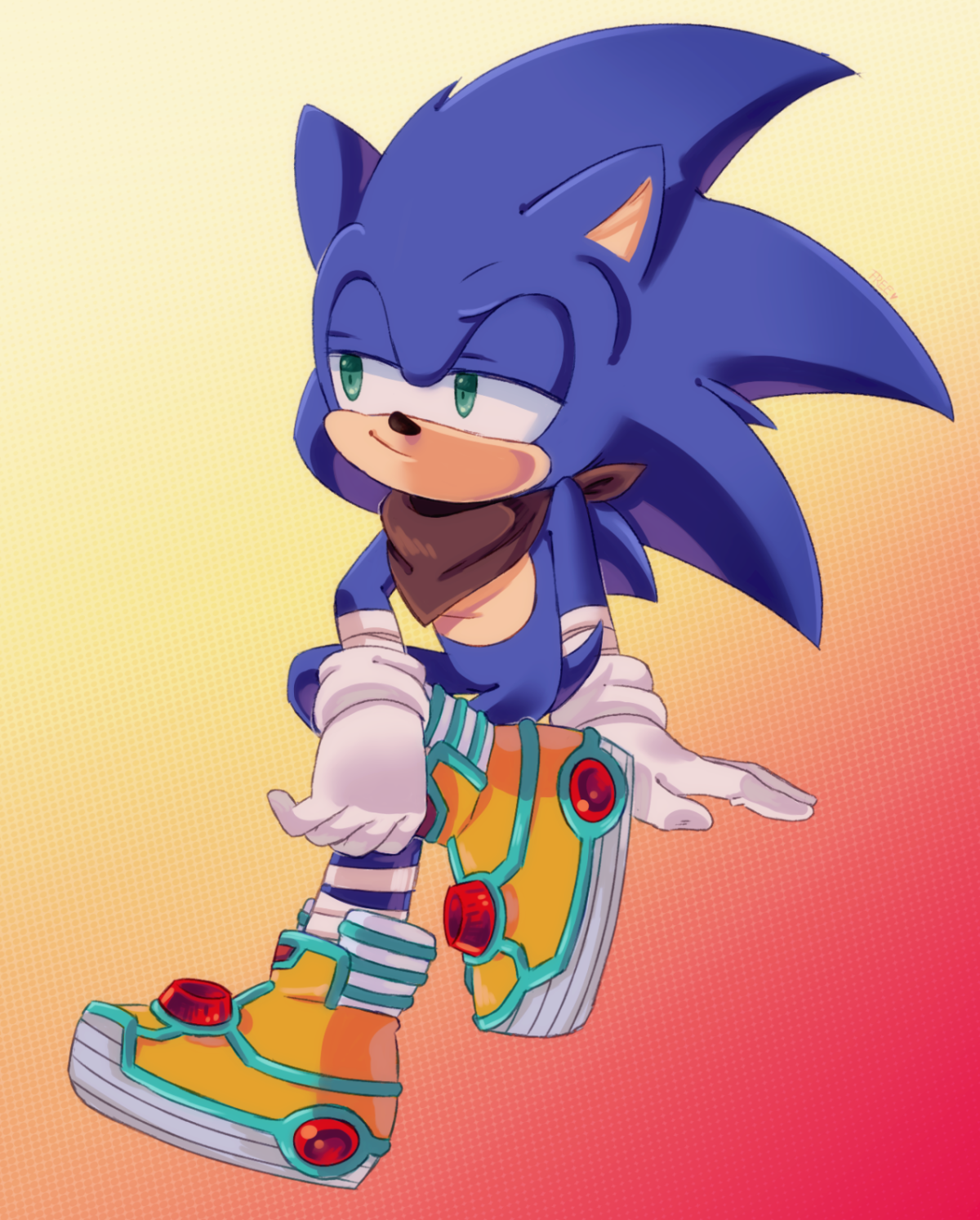 Соник бум и Соник еж