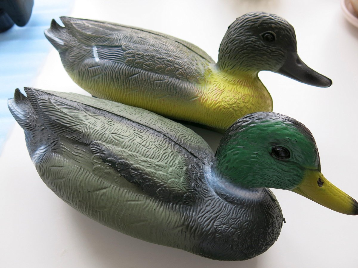 Чучело кряква утка рельеф