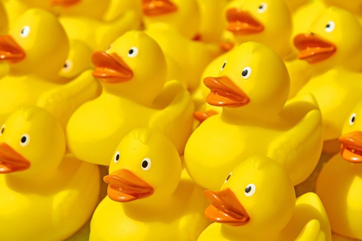 Много уточек