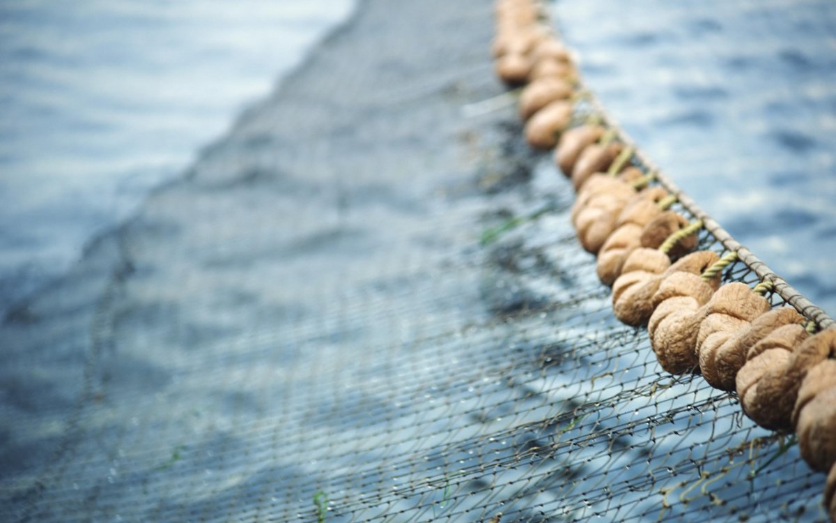 Рыболовные сети в море