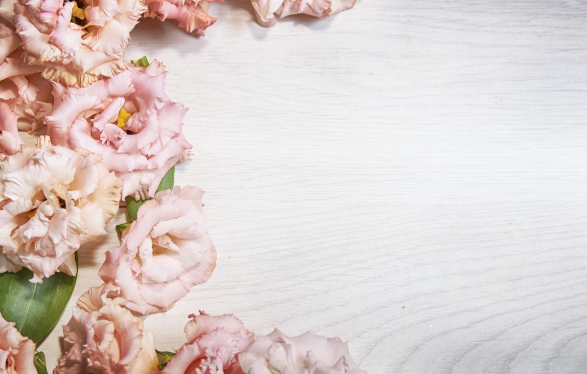 Фон для пригласительных