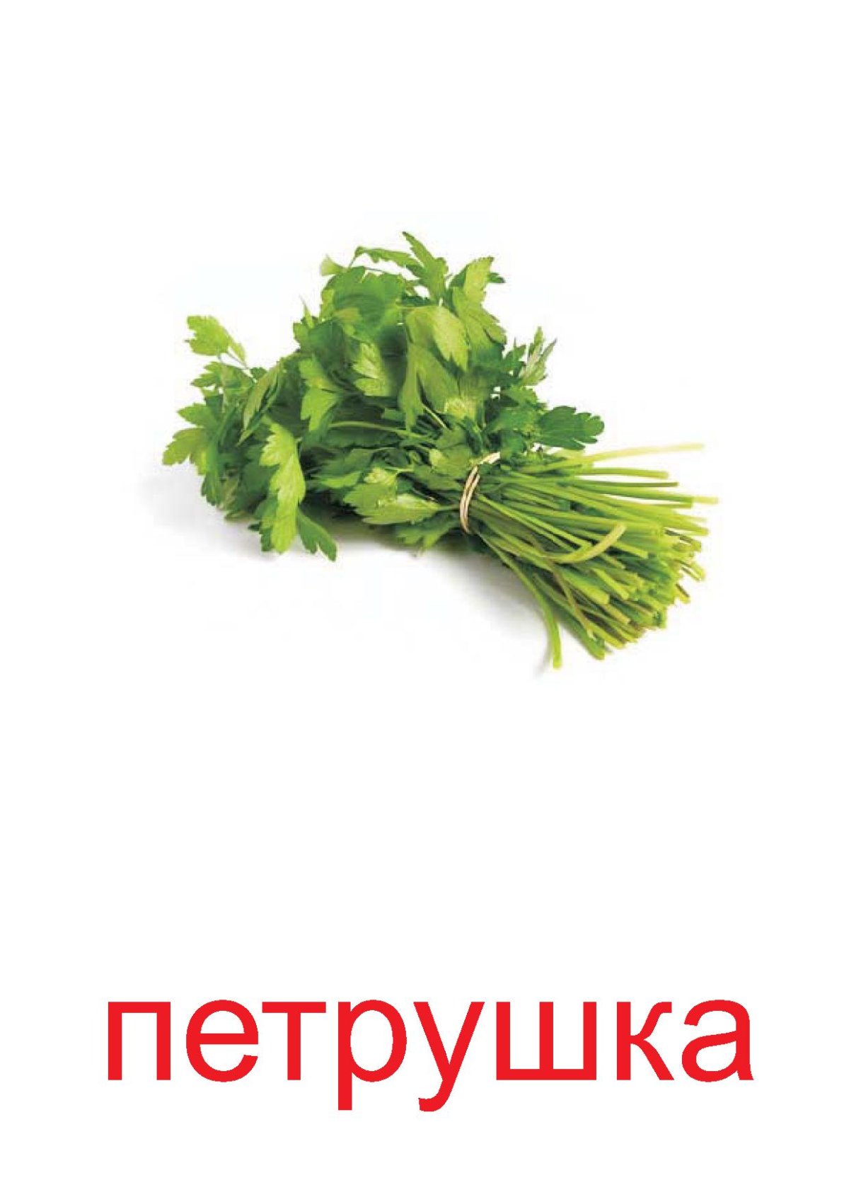 Надпись петрушка