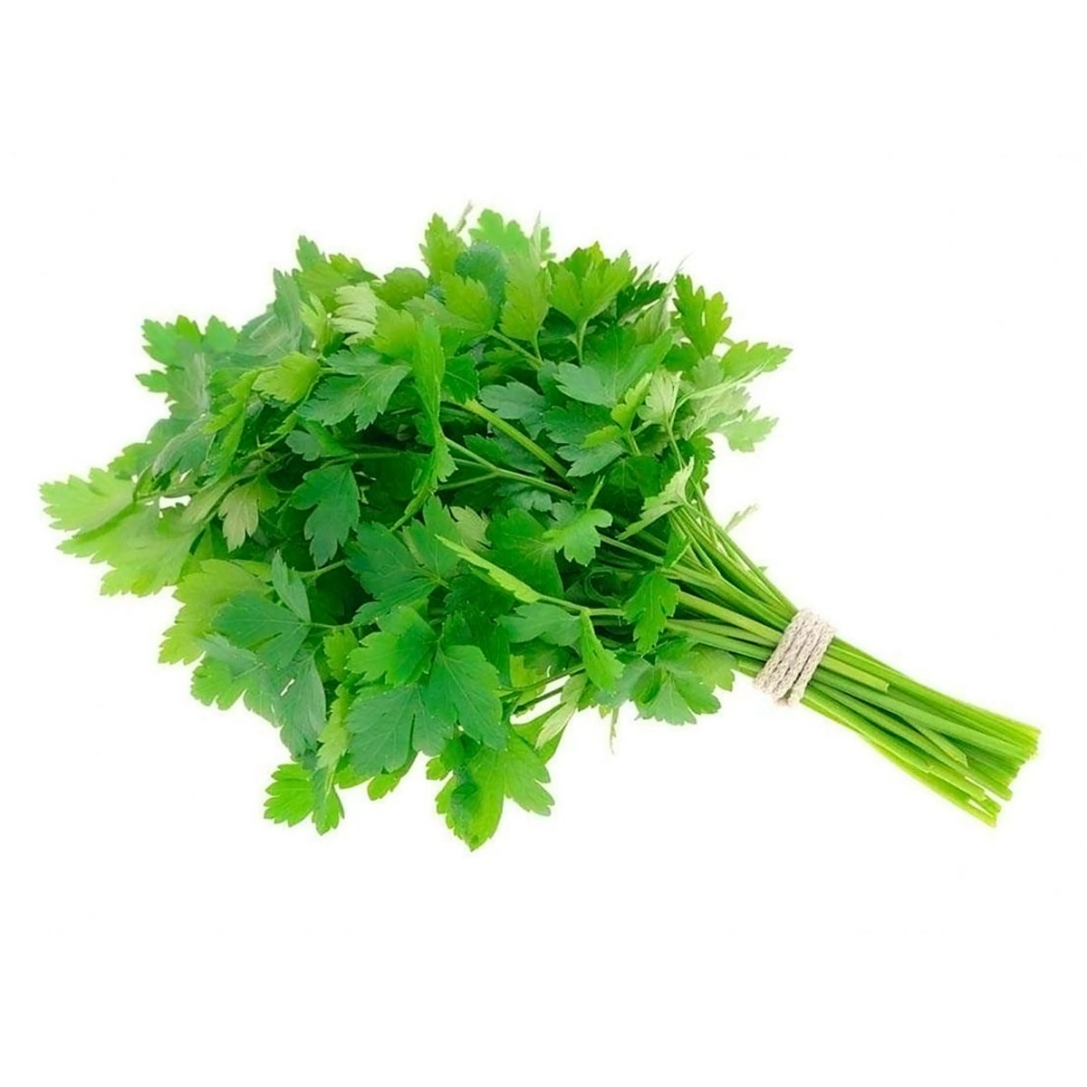 Кинза зелень пучок