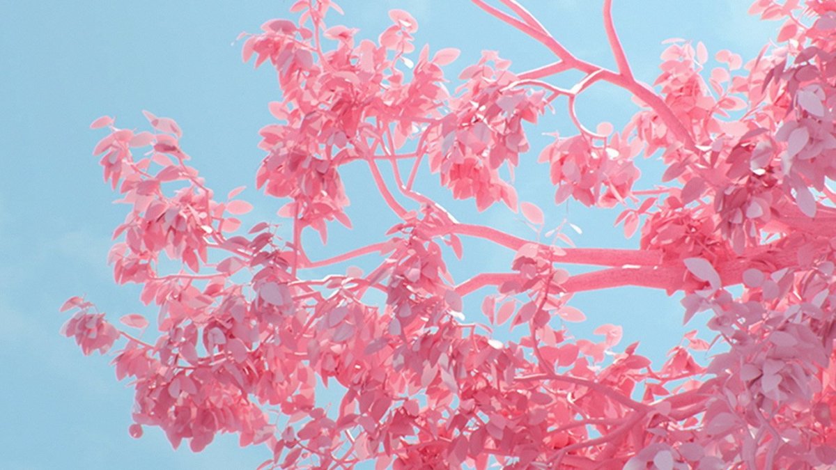 Эстетика розового