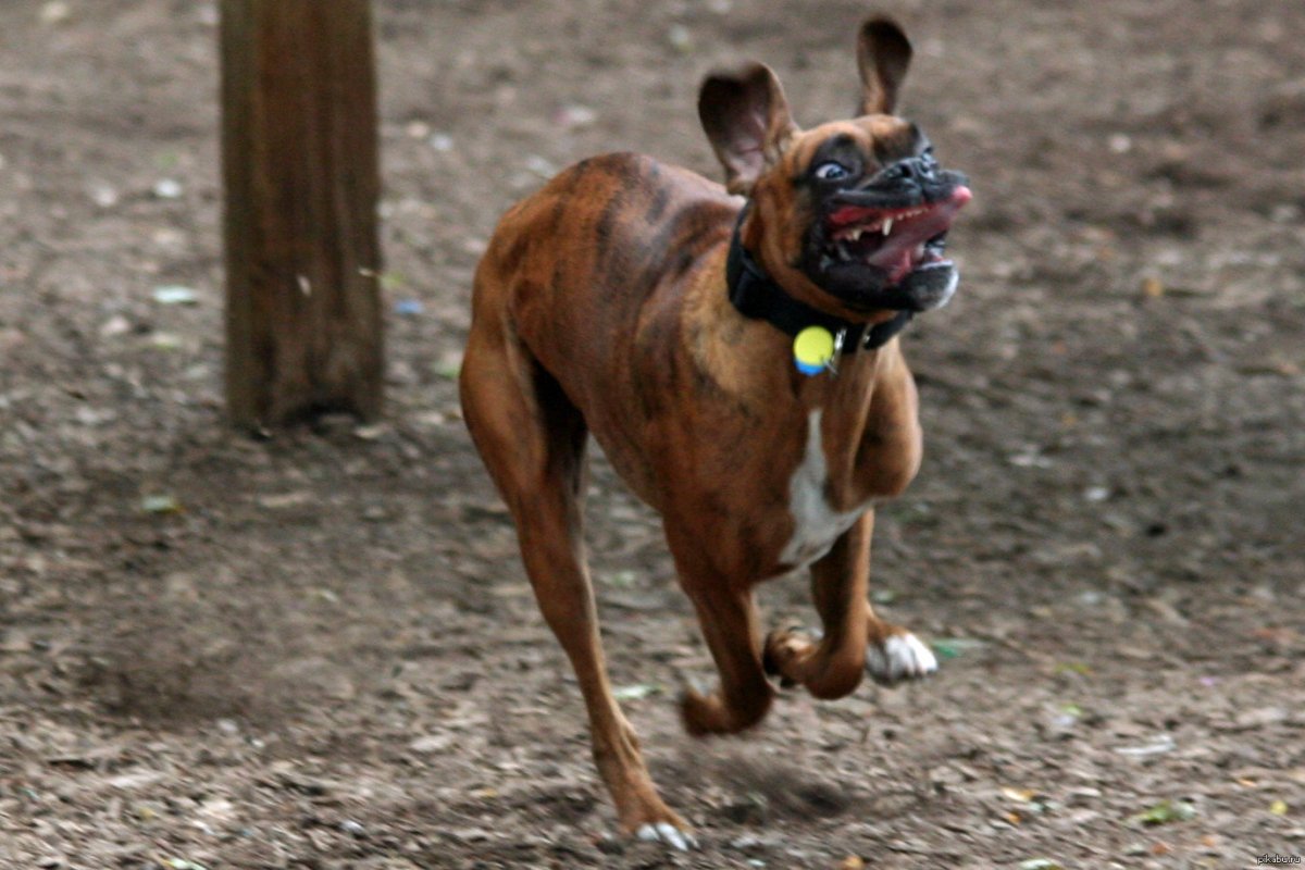 Бегом на работу