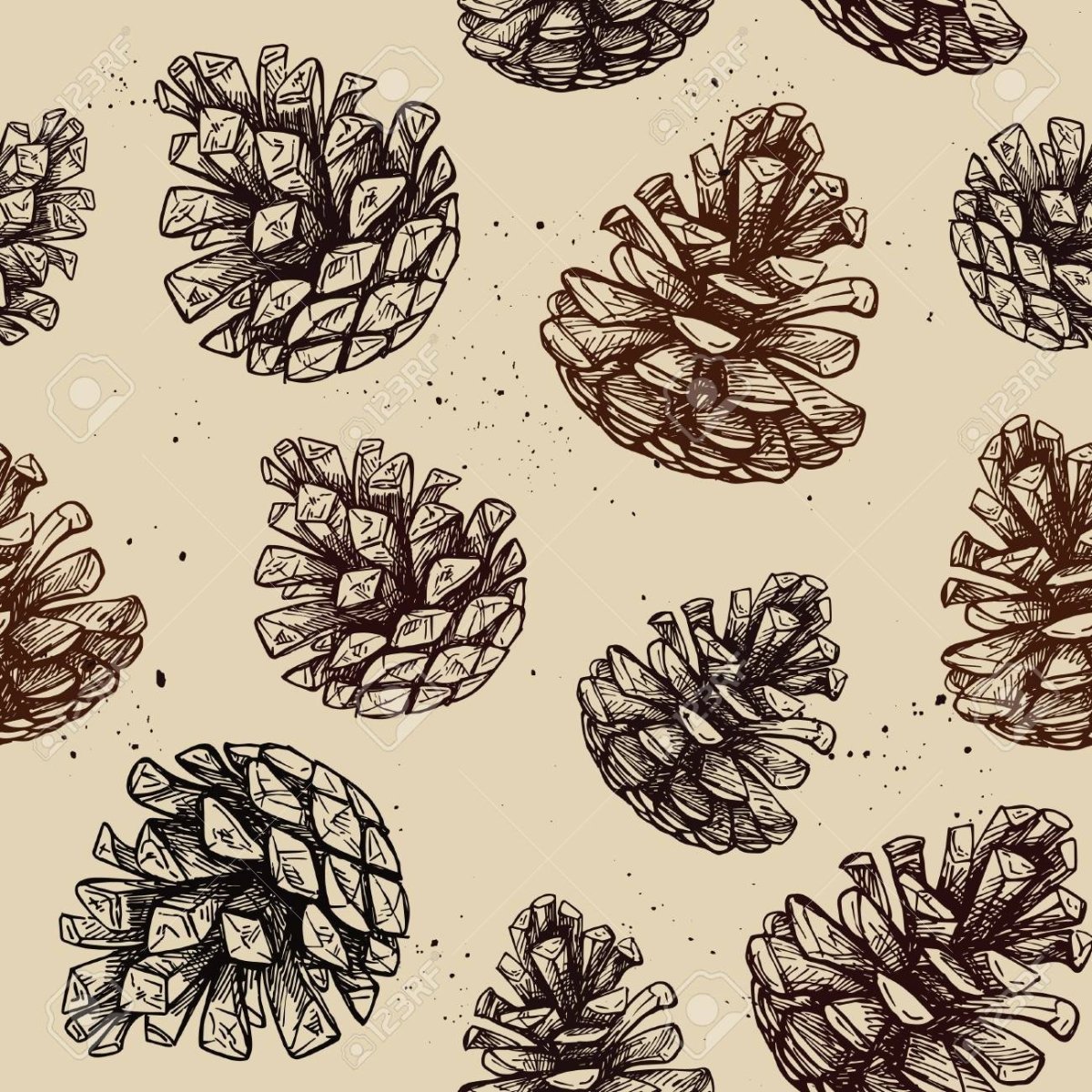 Сосновая шишка вектор