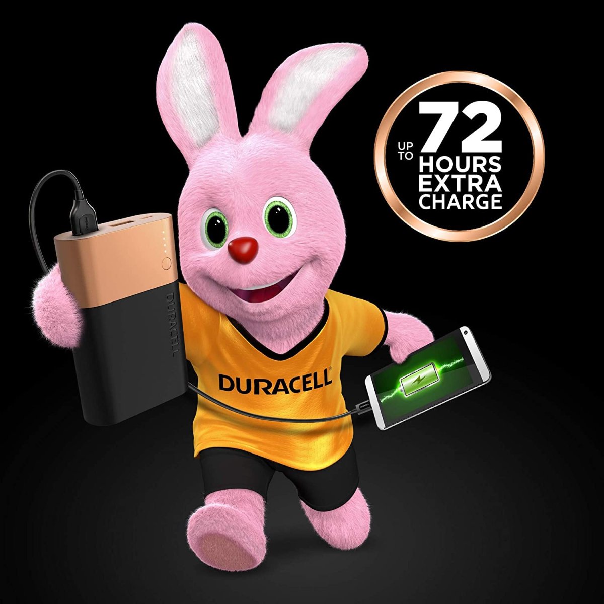 Duracell pb3