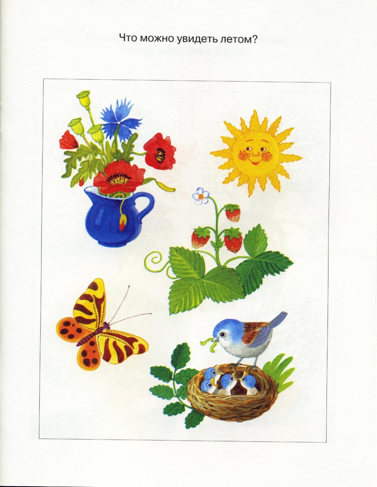 Лето признаки лета