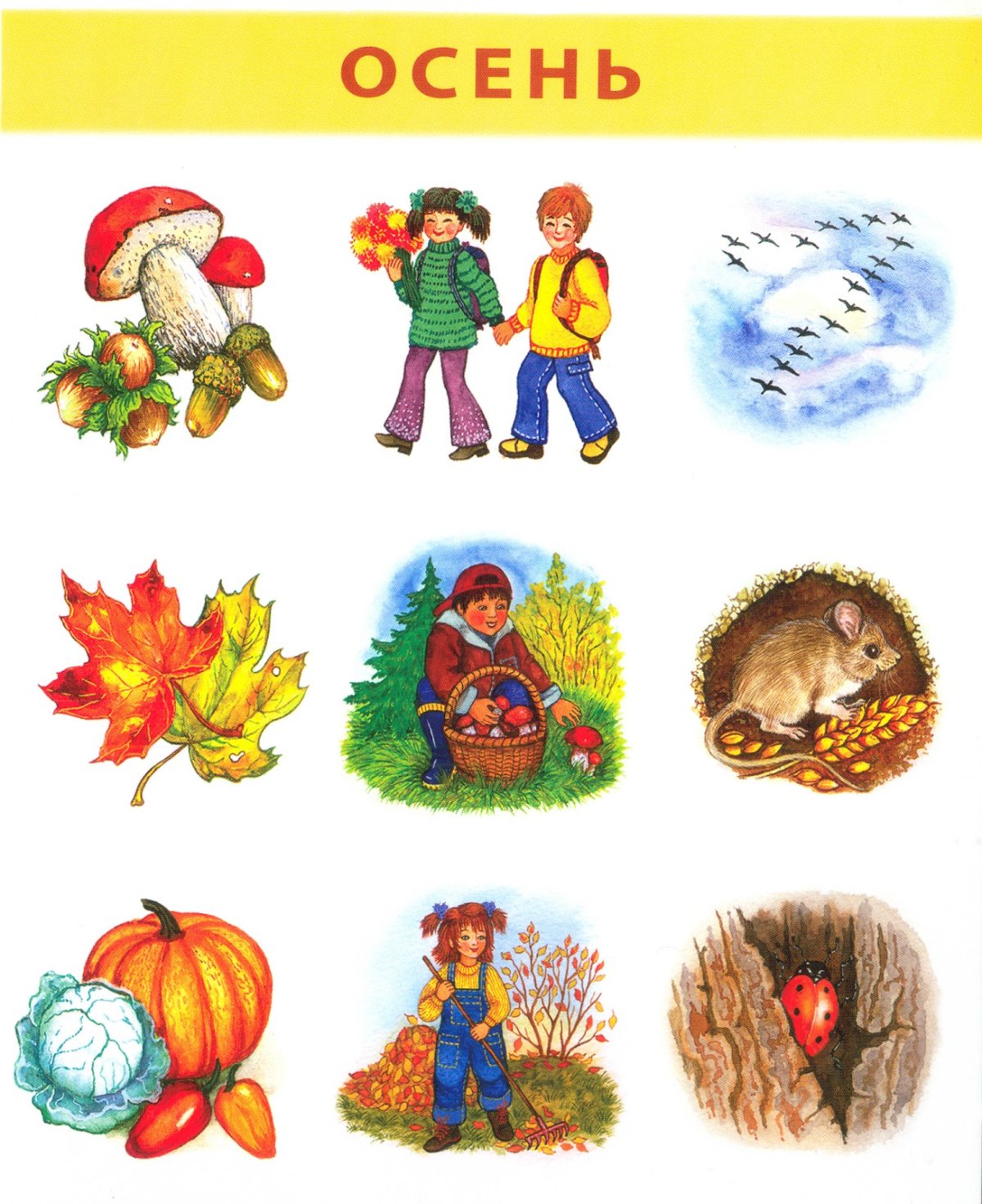 Признаки осени для детей