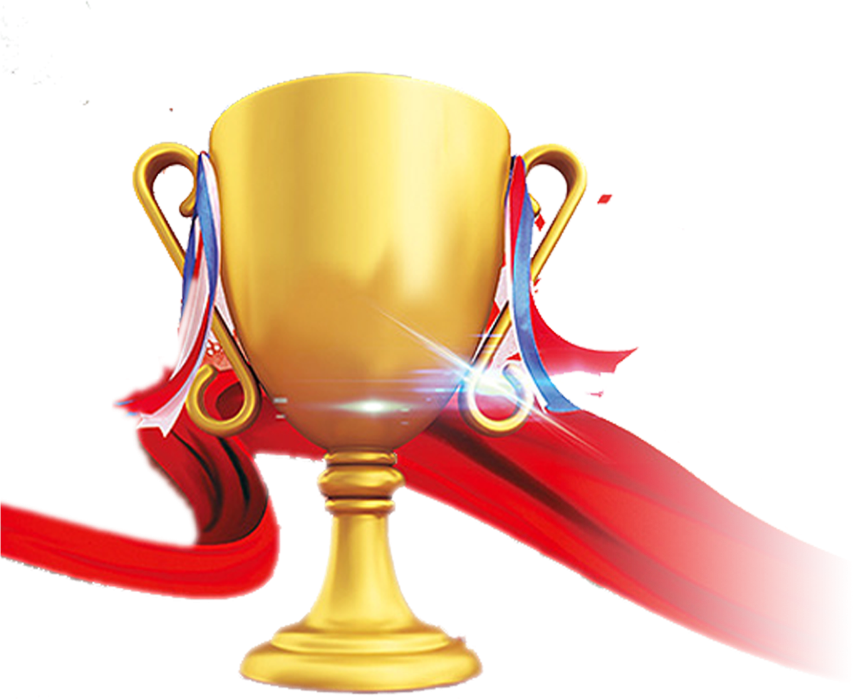 Достижения Кубок