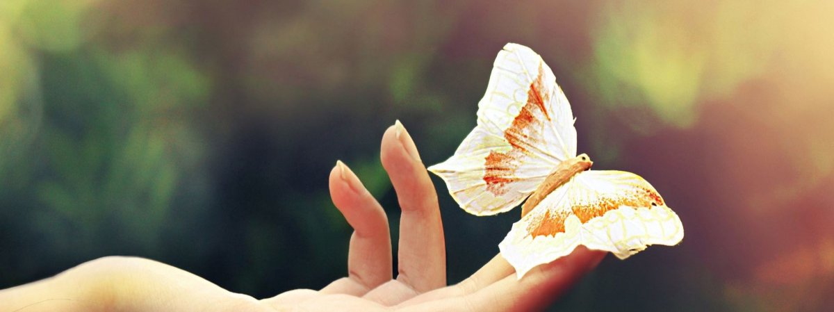 Высказывания о доброте