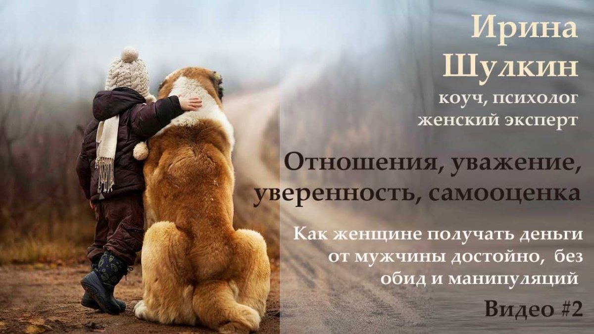 Цитаты про животных