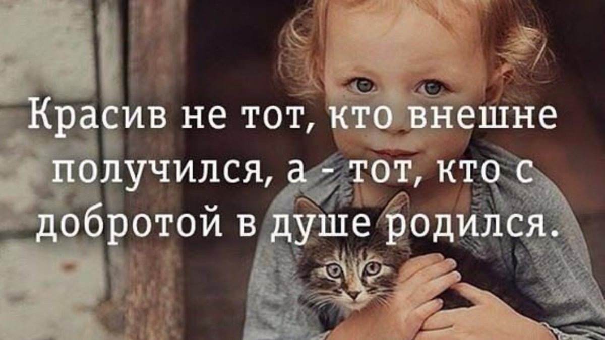 Душевные высказывания