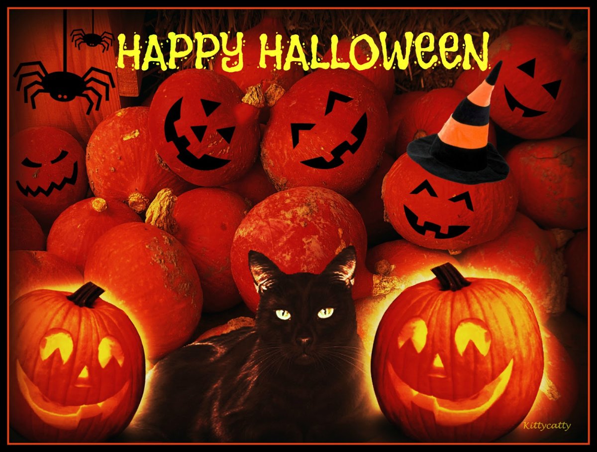 Галерея Хэллоуин