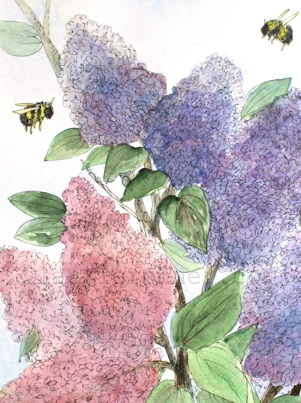 Сирень акварелью пошагово