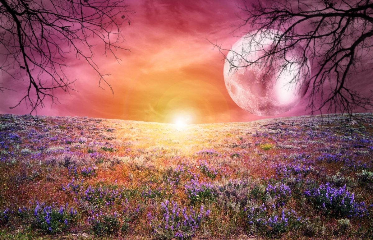 Фэнтези природа