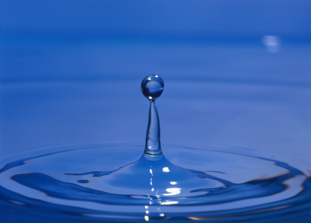 Всемирный день водных ресурсов