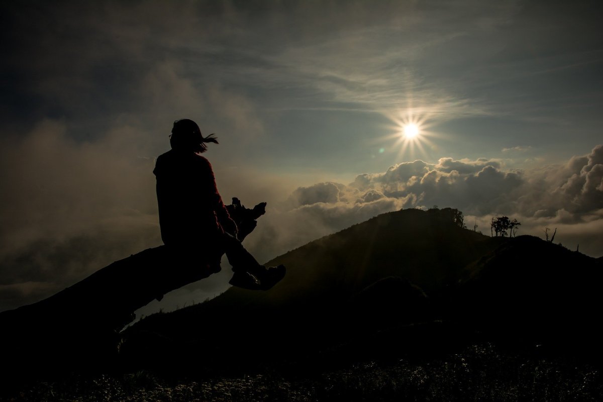 Далекие Странники новелла