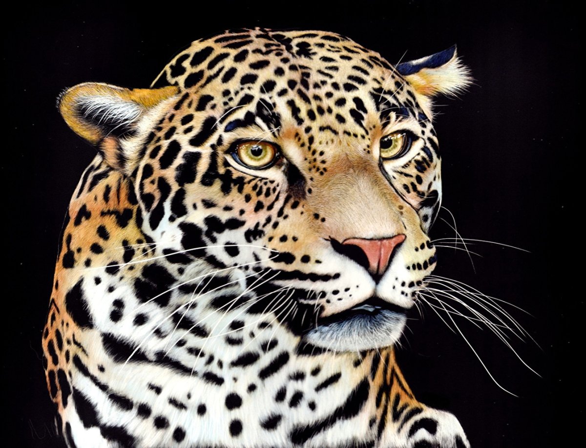 Мультяшный Леопардик