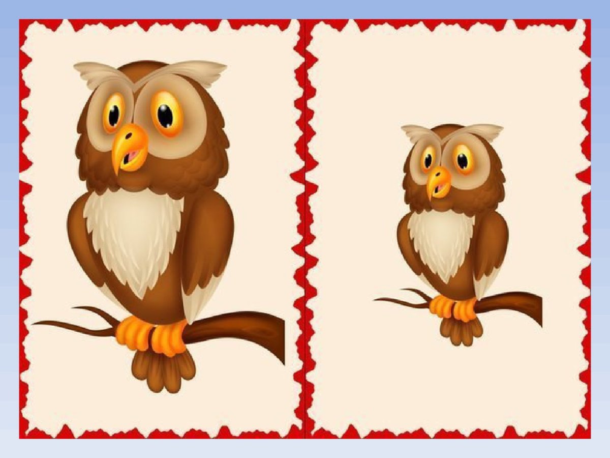 Карточки "большой-маленький"