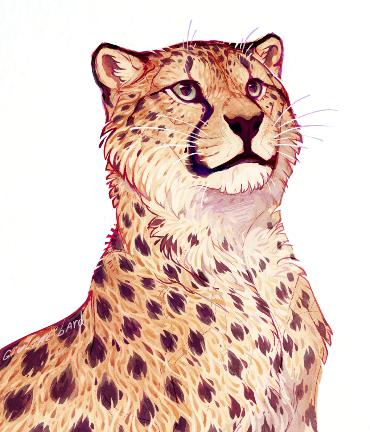 Пятна леопарда