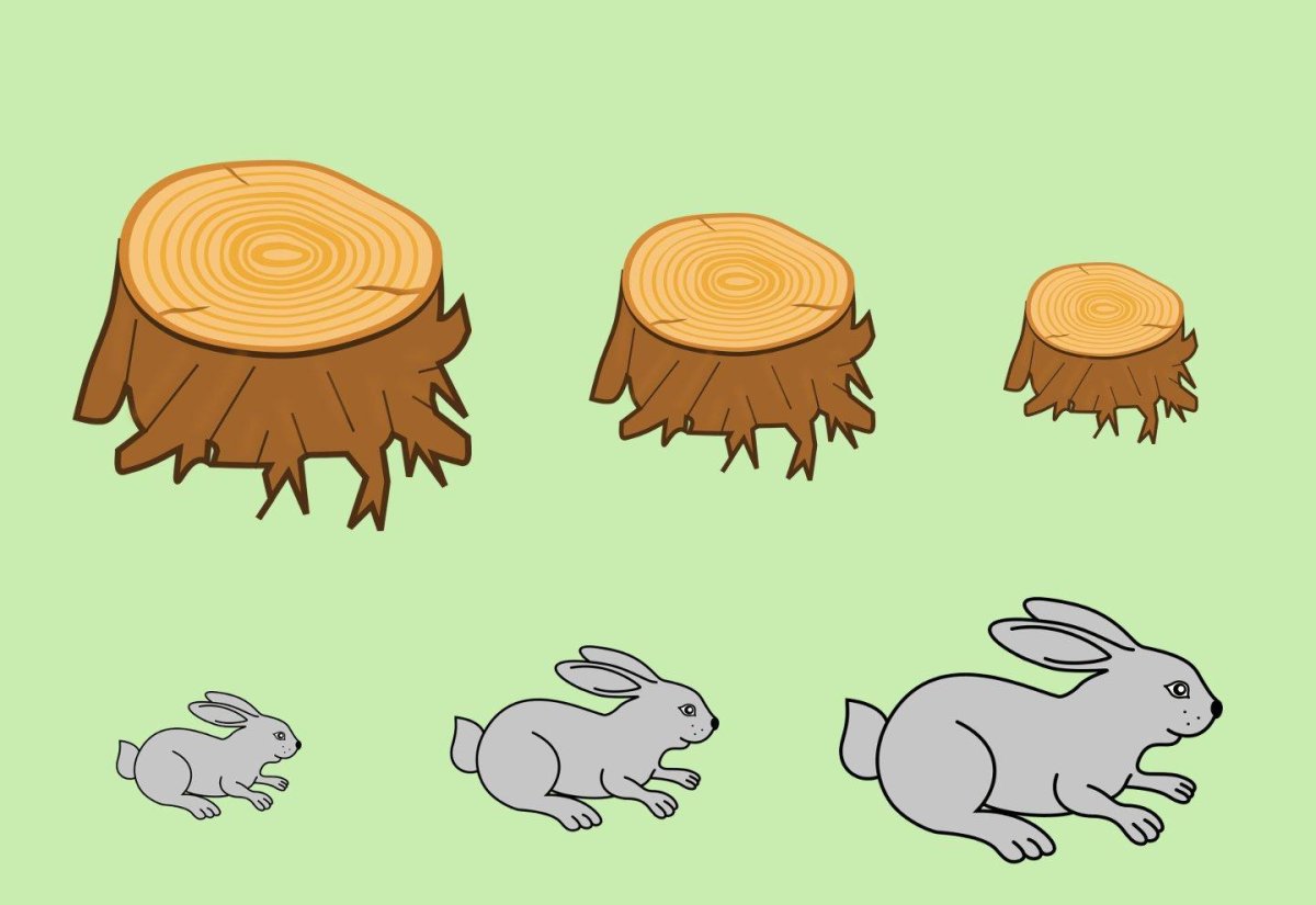 Большой, средний, маленький