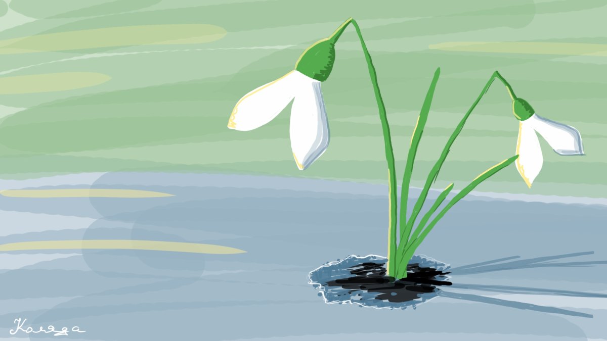 Подснежники вектор